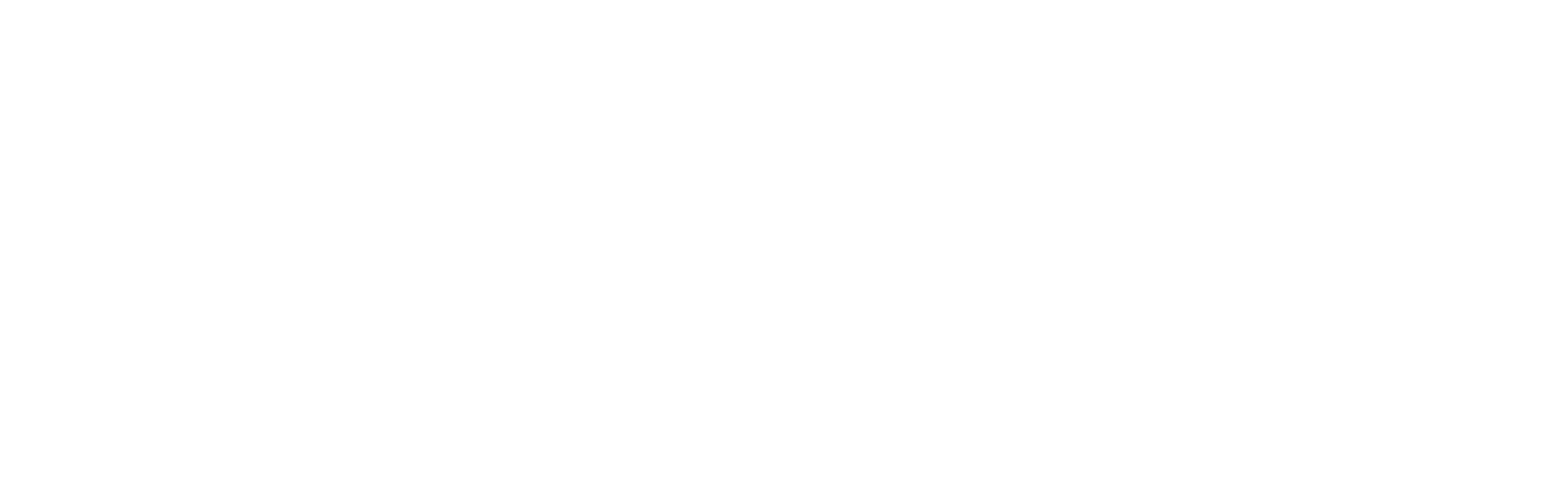 Xero Bronze Partner Certified Advisor